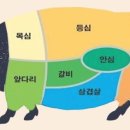 비스타짐 이미지