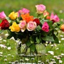 청구행정사사무소 이미지