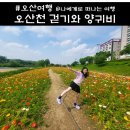 가족소풍 | 오산천 걷기대회와 양귀비 꽃밭 가족 소풍 후기
