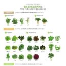 교원농장 이미지