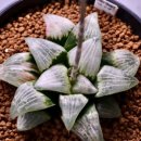 녹문농장 이미지