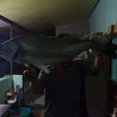 먼동1펜션 이미지