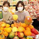 비타민충전소 이미지