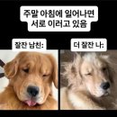 구암 (주) | 경기도. 구암시. 에서의 [12월 둘째주]