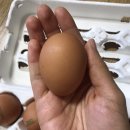 와라농장 이미지