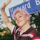 지니하니 이미지