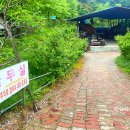 둥지캠핑장 | 서울 근교 캠핑장 추천 가평 둥지캠핑장 타프랑 수영장 있음