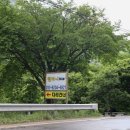 밤비니펜션 이미지