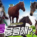 오아시스 목장 이미지