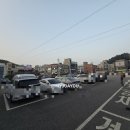 대명선어