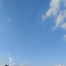 자이언트텔레콤 이미지