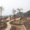 금강오토 헤럴드경제
