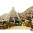 정토농장 티스토리