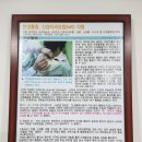 편한제통의원 이미지