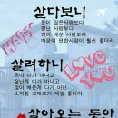 세상살이 이미지