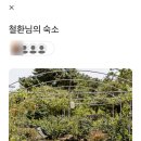 귤림하우스 이미지