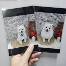 (주)경해달 | 2025년 상반기+7월 꼬꼬물 일상