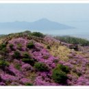 진달래약국 이미지