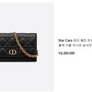 레이디올