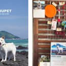 주식회사 펫프로젝트 이미지