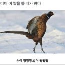 센트럴파크(105동) | :: 광주 쥐의 상경 기록