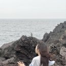 깡아지미용실 | 나가는게 귀찮아 셀프 매직한 집순이.