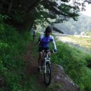 청량산 임도1 이미지