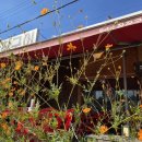 통일로 414번길 이미지