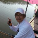 만어 Daum카페