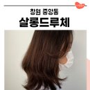 창원중앙동미용실 살롱드루체 여자 커트하고 온 후기