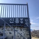 신흥민박 이미지