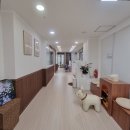 한올아이디어스텐스 | 주엽 이브 필라테스 그룹레슨 후기 10년 경력의 전통 센터