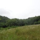 증2리 마을회관 이미지