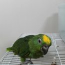 크라운농장 이미지