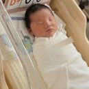 배란테스트기 사용법 스마일 배테기 사용후기