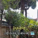 용호1로5번길 이미지