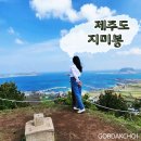 지미봉주차장 | 제주도 동쪽 오름 지미봉 오션뷰 사진명소 지미오름 혼자 등반 후기