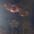 무릉도원면-14 네이버블로그