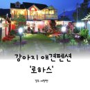 로하스민박 | 가끔씩 마음도 정리해 주세요. 마음이 편안한 경주 강아지 펜션 로하스