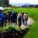 광령지석묘 3호 이미지