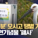 황새 탈진 이미지