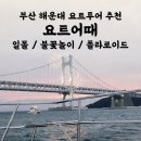석양풍경 | 부산 해운대 요트투어 요트어때 석양 내돈내산 후기