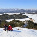 호수와 소나무 이미지