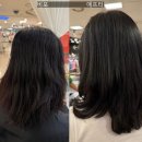 NC백화점 옆 | 불광역 미용실 이가자헤어비스 NC백화점 불광점 | 케라스타즈 염색 후기