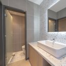 브라운도트거북섬점 이미지