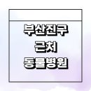 GS25(강서메디칼)(등1) | 근처 동물병원 잘하는곳 추천 정보 새벽 치료 수술 중성화 강아지 고양이 가격 후기 24시간 공휴일