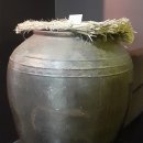 흑산도항아리홍어