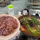 감나무백숙식당