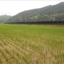 금산주유소 이미지