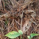 홀뫼농장 이미지